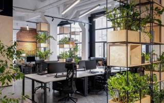 6 Sustainable Office Building Tips for a Green Office Space