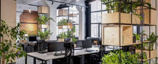 6 Sustainable Office Building Tips for a Green Office Space