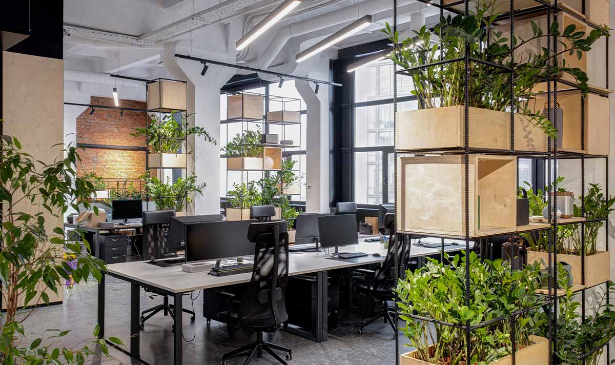 Developing A Sustainable Office Interior - The 4 Key Areas - Calibro  Workspace