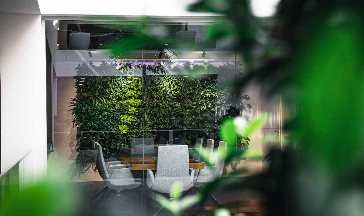 Tips for Creating a Biophilic Office
