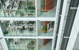 Ways to Incorporate Biophilic Design in Your Office Space