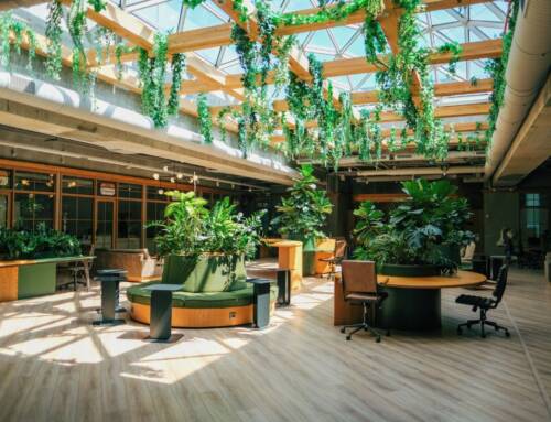 How To Design A More Sustainable Office Space