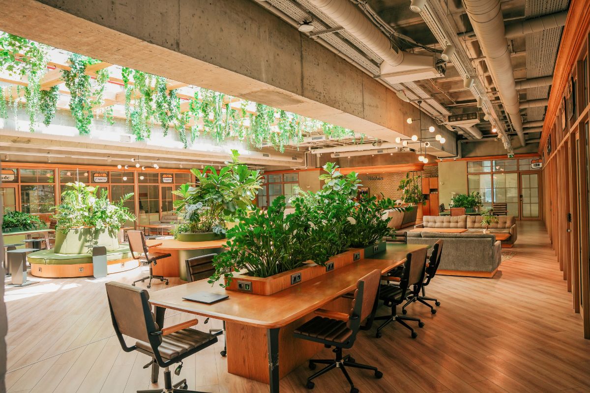 Sustainable Green Office Interior Design in Singapore