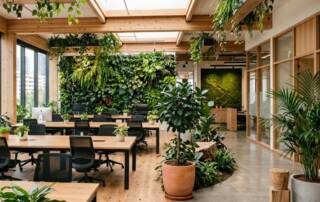 Top Biophilic Office Design Ideas Designing for the Singapore Climate