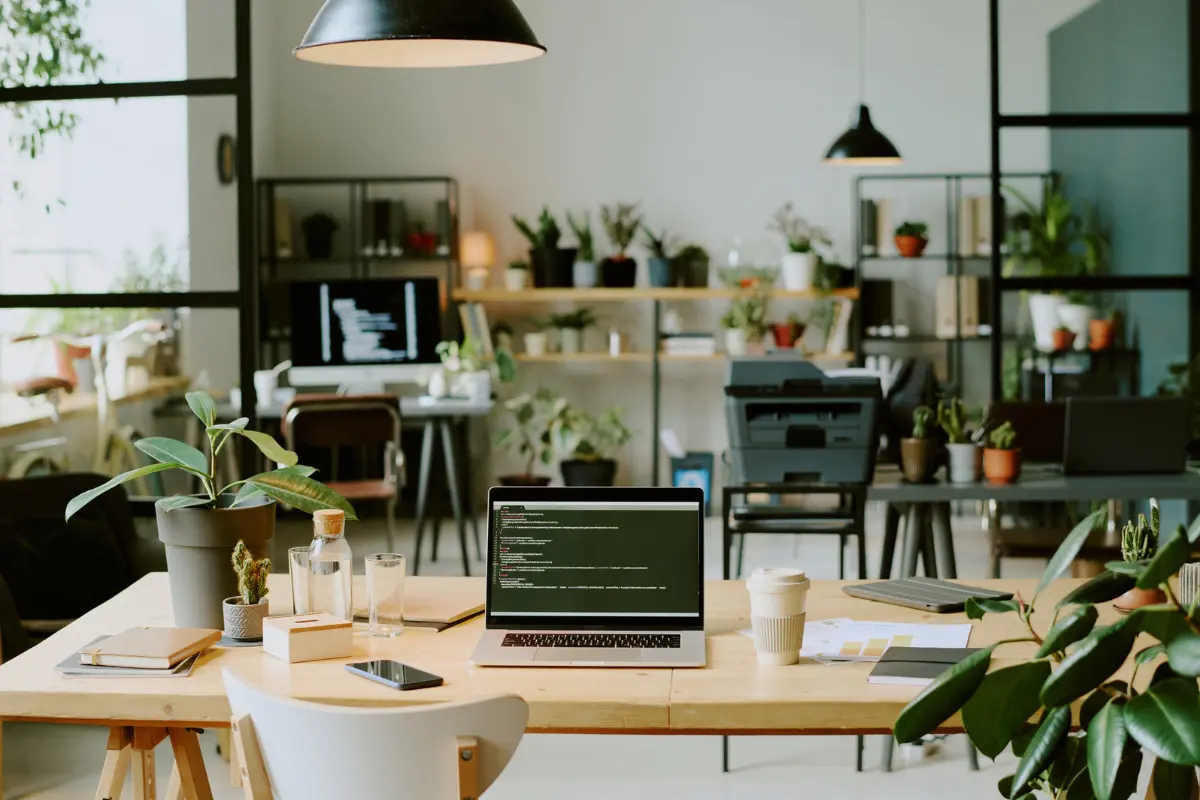 Potted Plants Where People Actually Sit